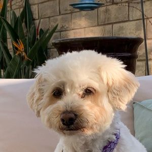 Meet your Posher, Sara